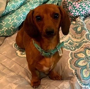 Meet your Posher, Danette